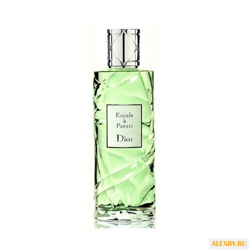 Christian Dior Escale a Parati