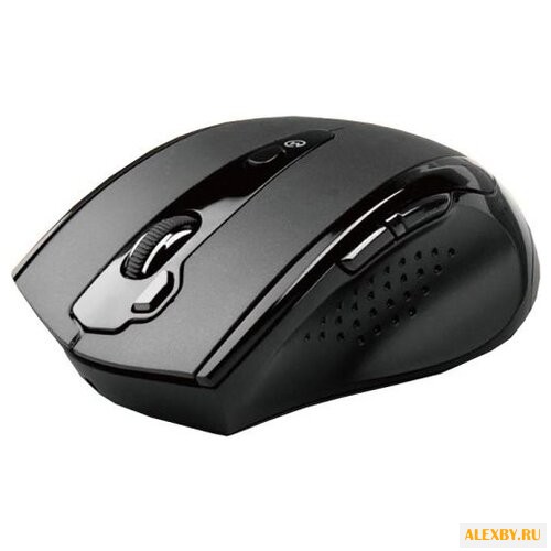 Мышь A4Tech G10-810F Black USB