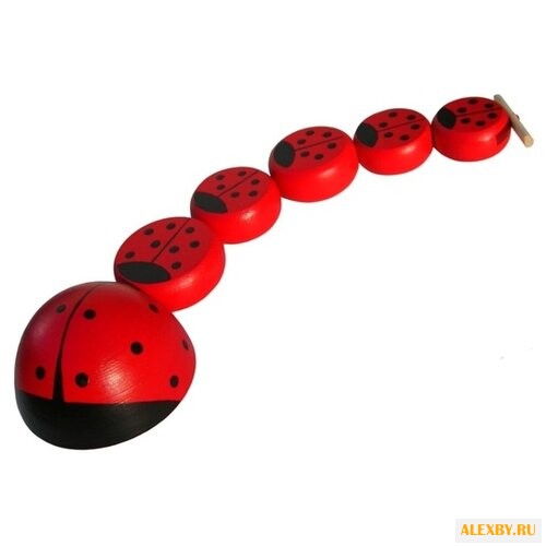 Шнуровка Вальда Божьи коровки -