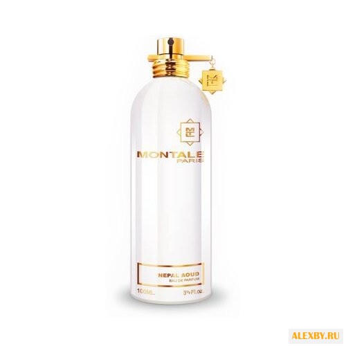 MONTALE Nepal Aoud