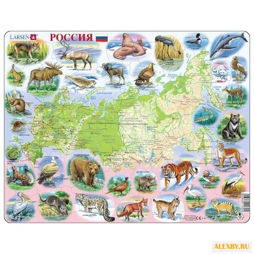 Рамка-вкладыш Larsen Россия