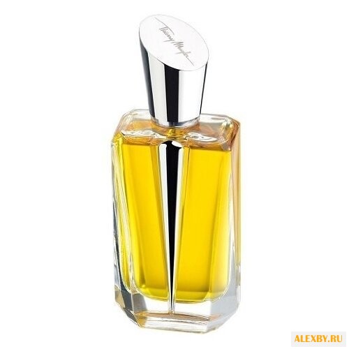 MUGLER A Travers le Miroir