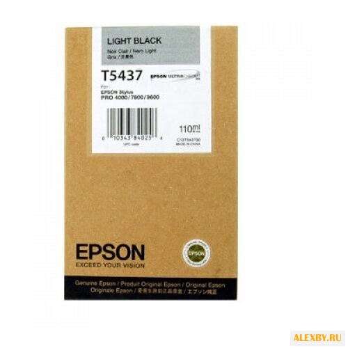 Картридж Epson C13T543700