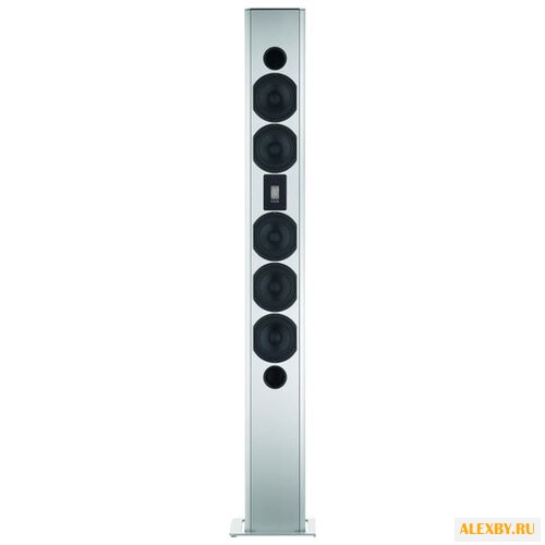 Акустическая система Piega