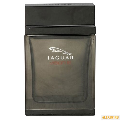 Jaguar Vision III