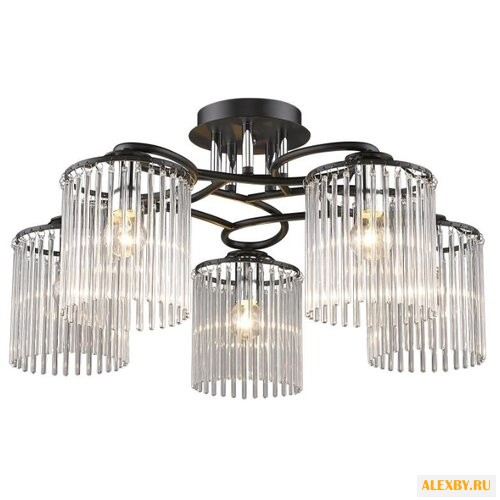 Colosseo 81631 5C Nerea