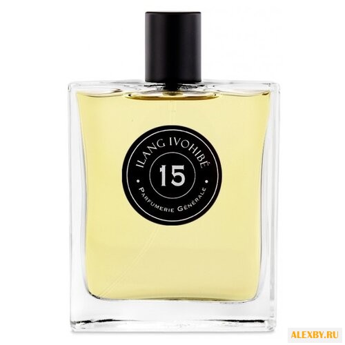 Pierre Guillaume PG 15 Ilang