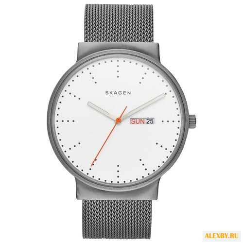 Наручные часы SKAGEN SKW6321