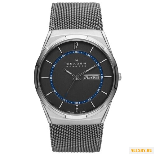 Наручные часы SKAGEN SKW6078