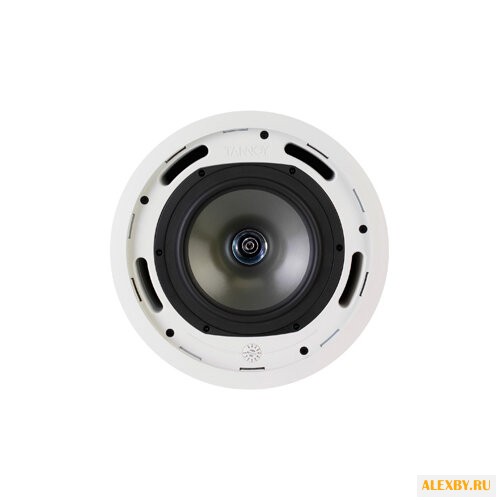Акустическая система Tannoy