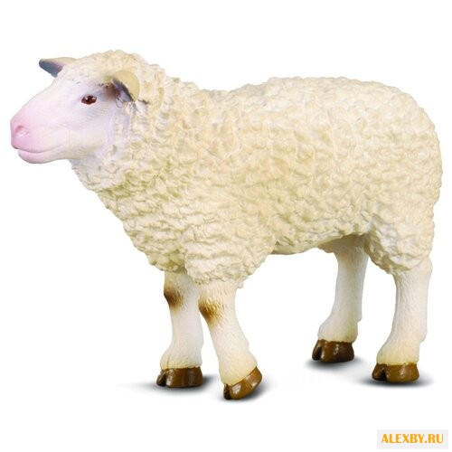 Фигурка Collecta Овца 88008