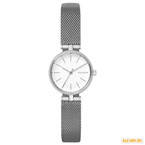 Наручные часы SKAGEN SKW2642