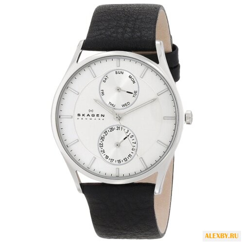 Наручные часы SKAGEN SKW6065
