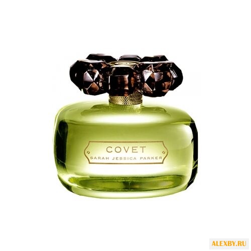 Sarah Jessica Parker Covet