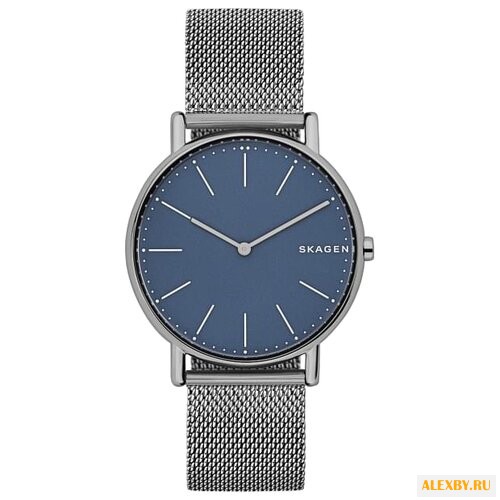 Наручные часы SKAGEN SKW6420