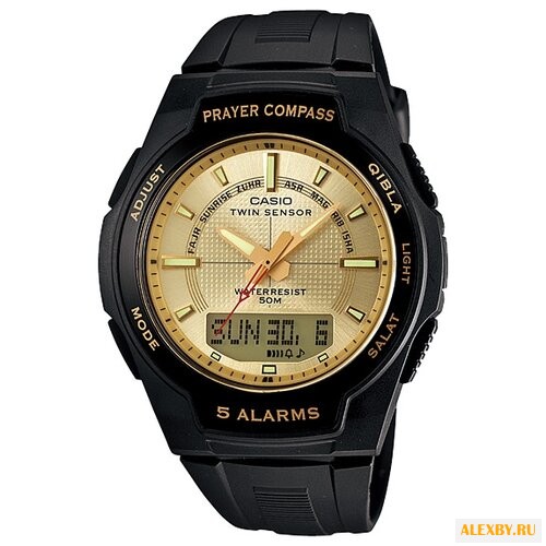 Наручные часы CASIO CPW-500H-9A