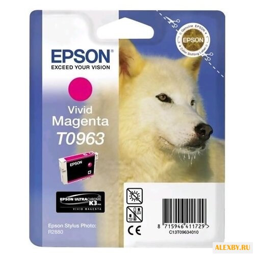 Картридж Epson C13T09634010