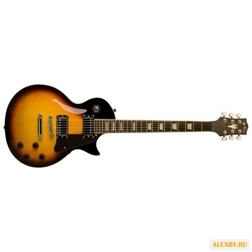 Электрогитара Jay Turser JT-220