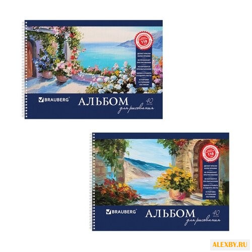 Альбом для рисования BRAUBERG