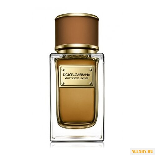 DOLCE & GABBANA Velvet Exotic