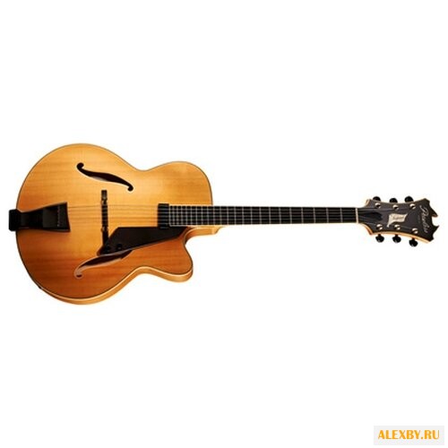 Полуакустическая гитара