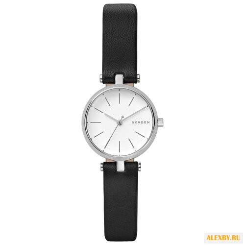 Наручные часы SKAGEN SKW2639