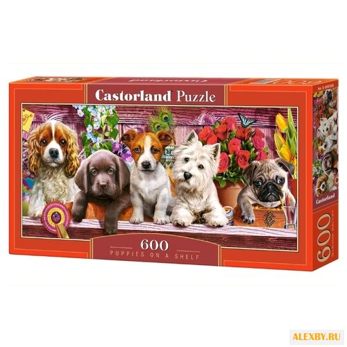 Пазл Castorland Puppies on a