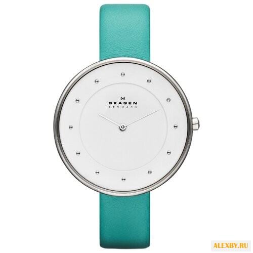 Наручные часы SKAGEN SKW2134