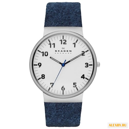 Наручные часы SKAGEN SKW6098