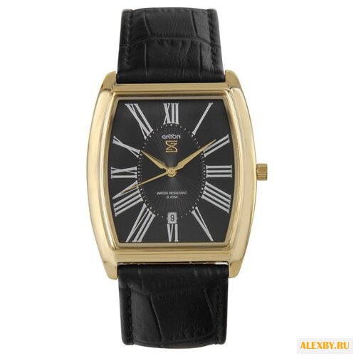 Наручные часы Gryon G 401.21.11