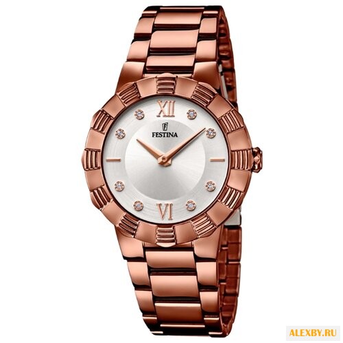 Наручные часы FESTINA F16800 3