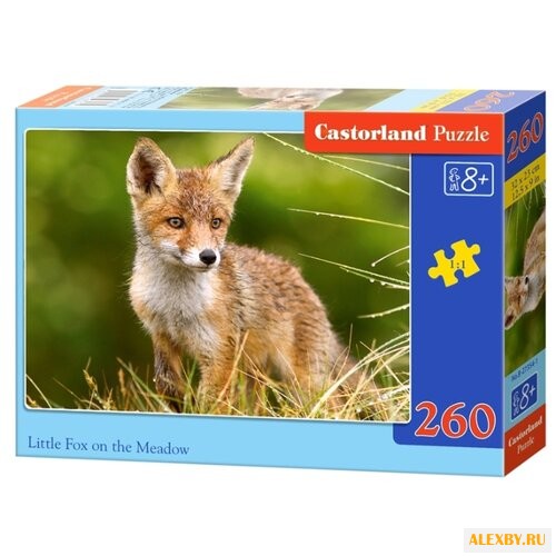 Пазл Castorland Little Fox on