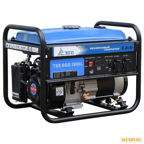 Бензиновая электростанция ТСС