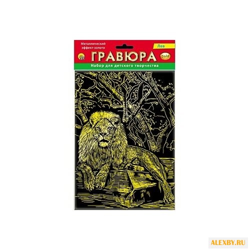 Гравюра Рыжий кот Лев в пакете