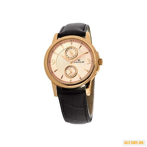 Наручные часы EARNSHAW ES-8026-03