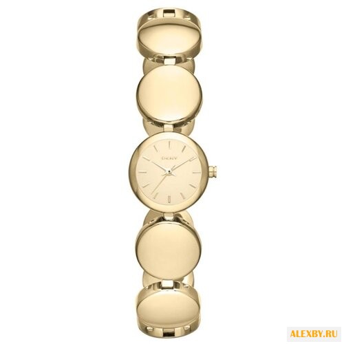 Наручные часы DKNY NY8867