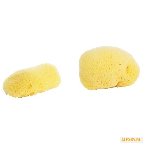 Губка «7 морей» натуральная