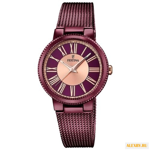 Наручные часы FESTINA F16966 1