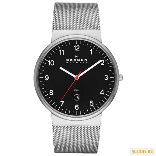 Наручные часы SKAGEN SKW6051