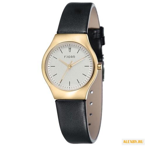 Наручные часы FJORD FJ-6036-04