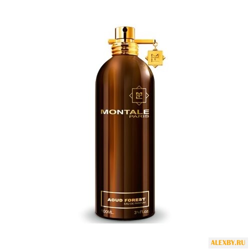 MONTALE Aoud Forest