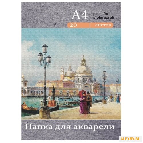 Папка для акварели Проф-Пресс