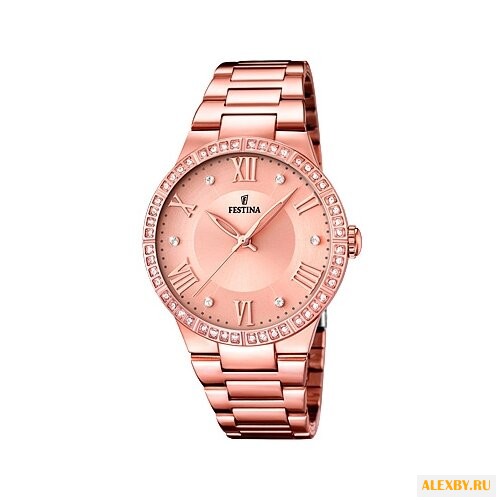 Наручные часы FESTINA F16721 2