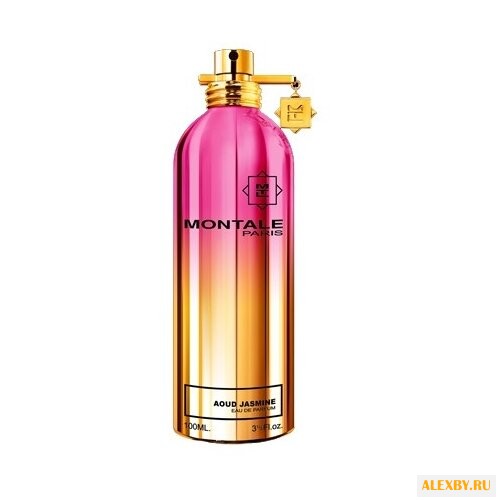 MONTALE Aoud Jasmine
