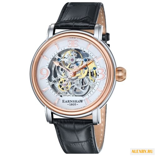 Наручные часы EARNSHAW ES-8011-06