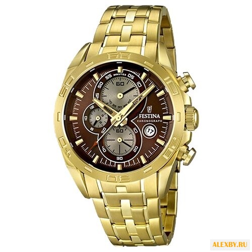 Наручные часы FESTINA F16656 4