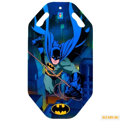 Ледянка 1 TOY Бэтмен Т10470