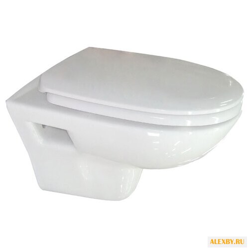 Унитаз IDDIS Neofix NEORDSEi25