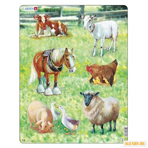 Рамка-вкладыш Larsen Домашние