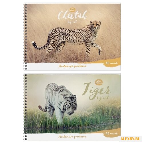 Альбом для рисования ArtSpace